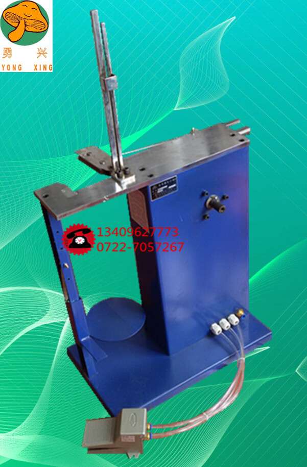 ������ڙC